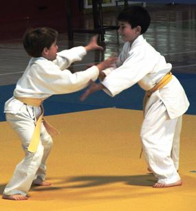 Pioneri vo judo borba