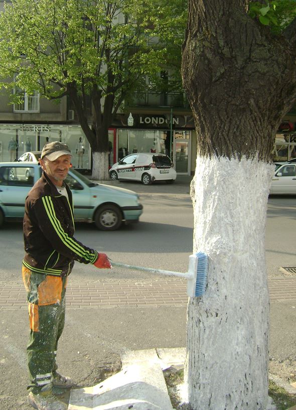 Mevlem za steblata