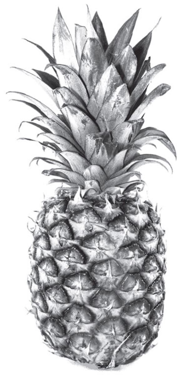 ananas