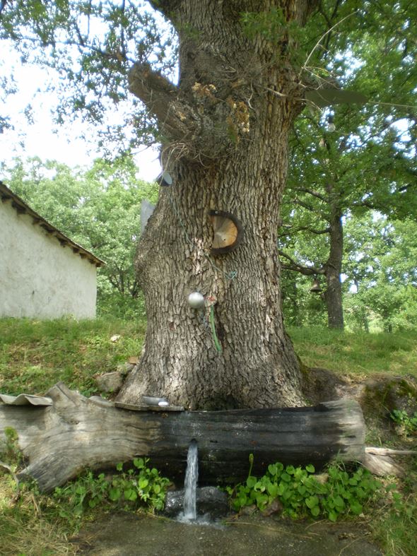 Cesma od drvo na manastir vo Mariovo